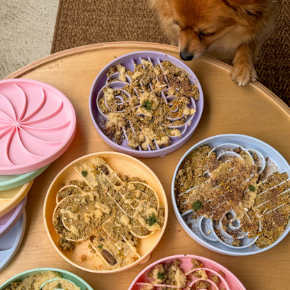 Ollie B. Good Zoomies Slow Feeder Bowl | Clementine | Enrichment Bowl For Pets