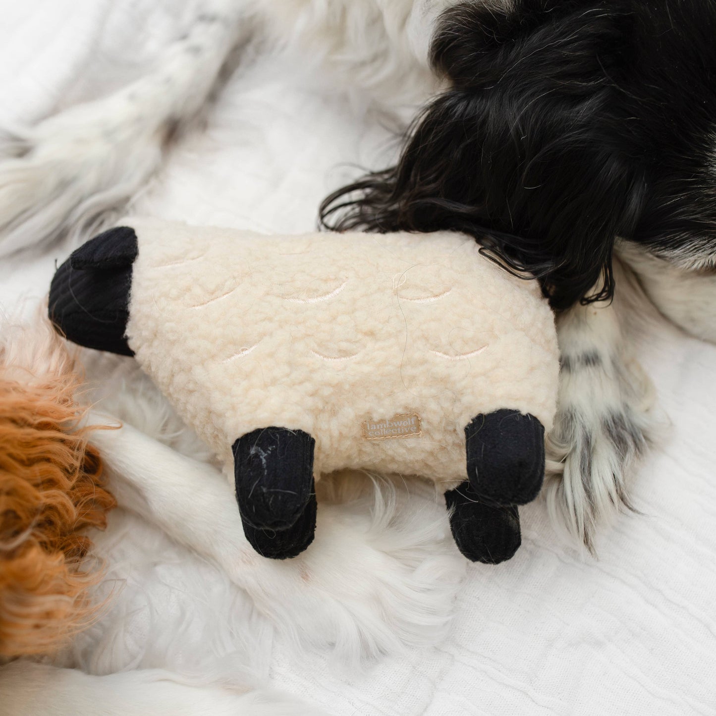 Lambwolf Dolly Sheep | Squeaker + Cuddle Dog Toy