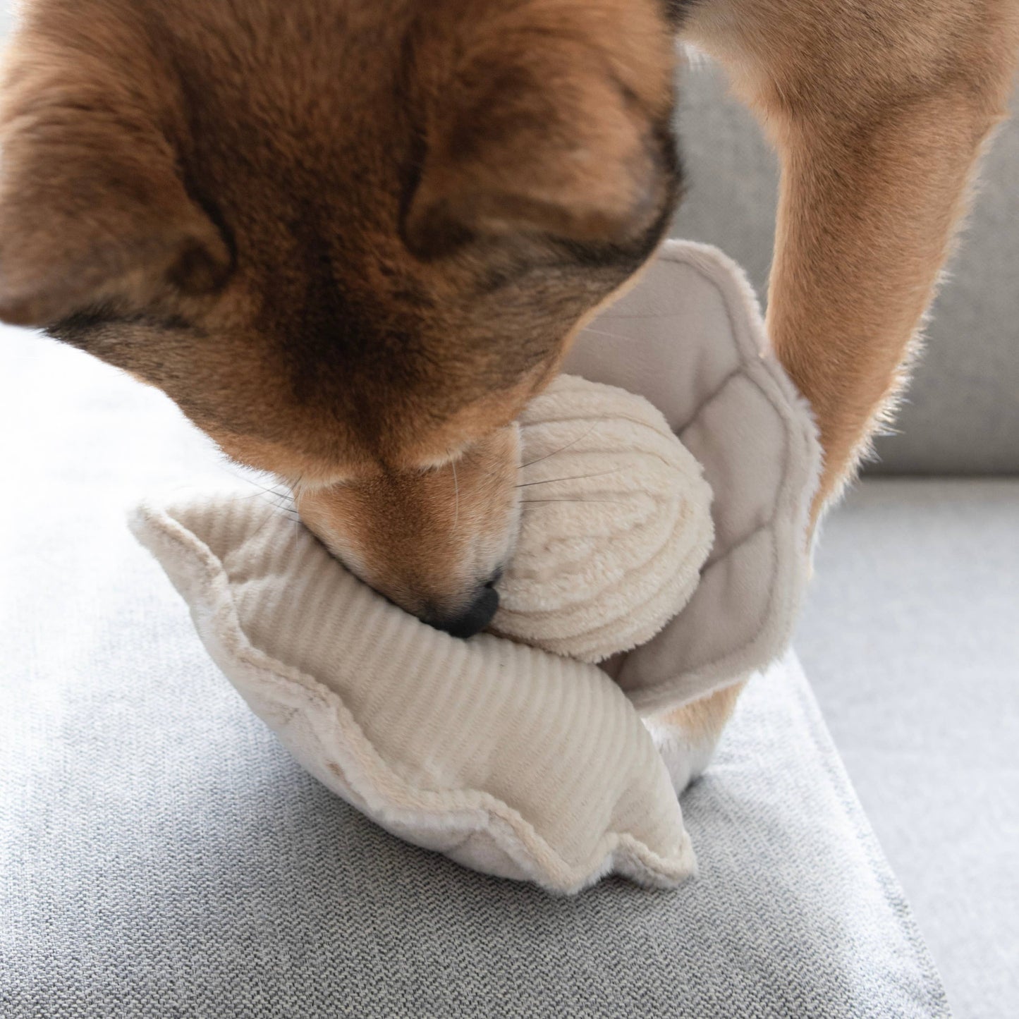 Lambwolf Oyster POP | Enrichment Dog Toy With Squeaky Ball