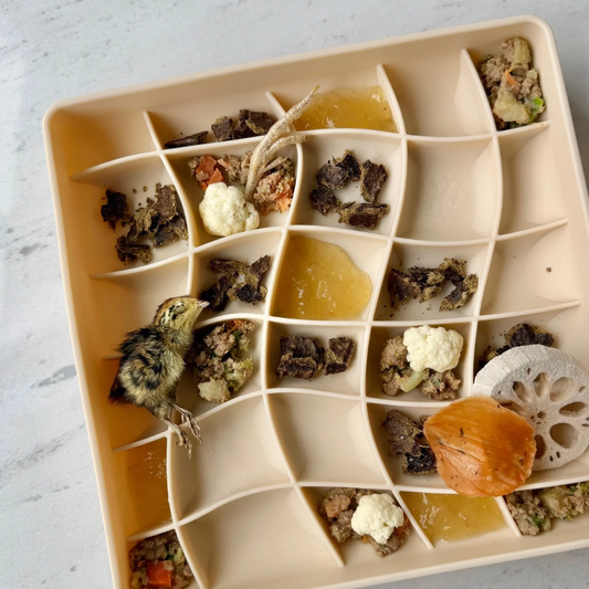 Ollie B. Good Wavies Slow Feeder Bowl | Oatmeal | Enrichment Bowl For Pets