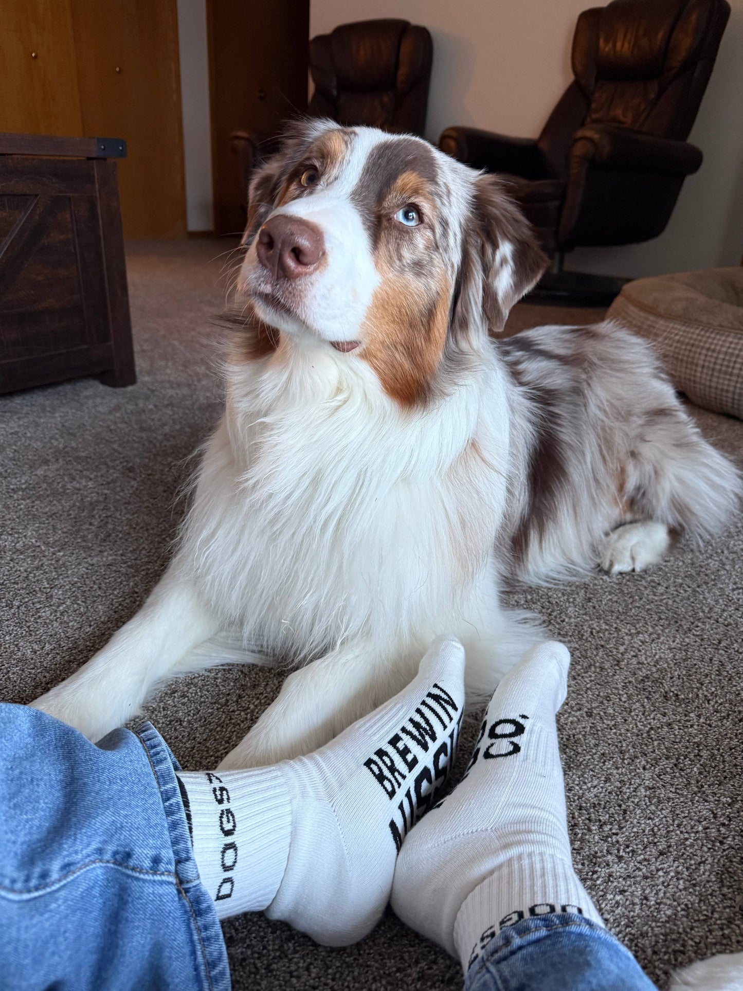Dogs> Crew Socks 
