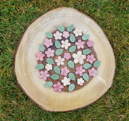 Little Paws Blossom Is In The Air