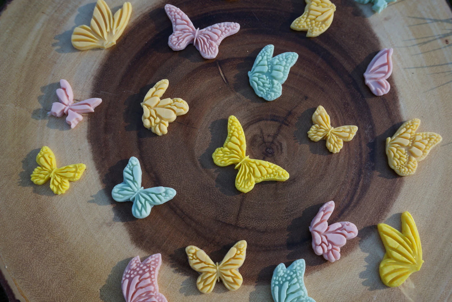 Little Paws Butterfly Dreams