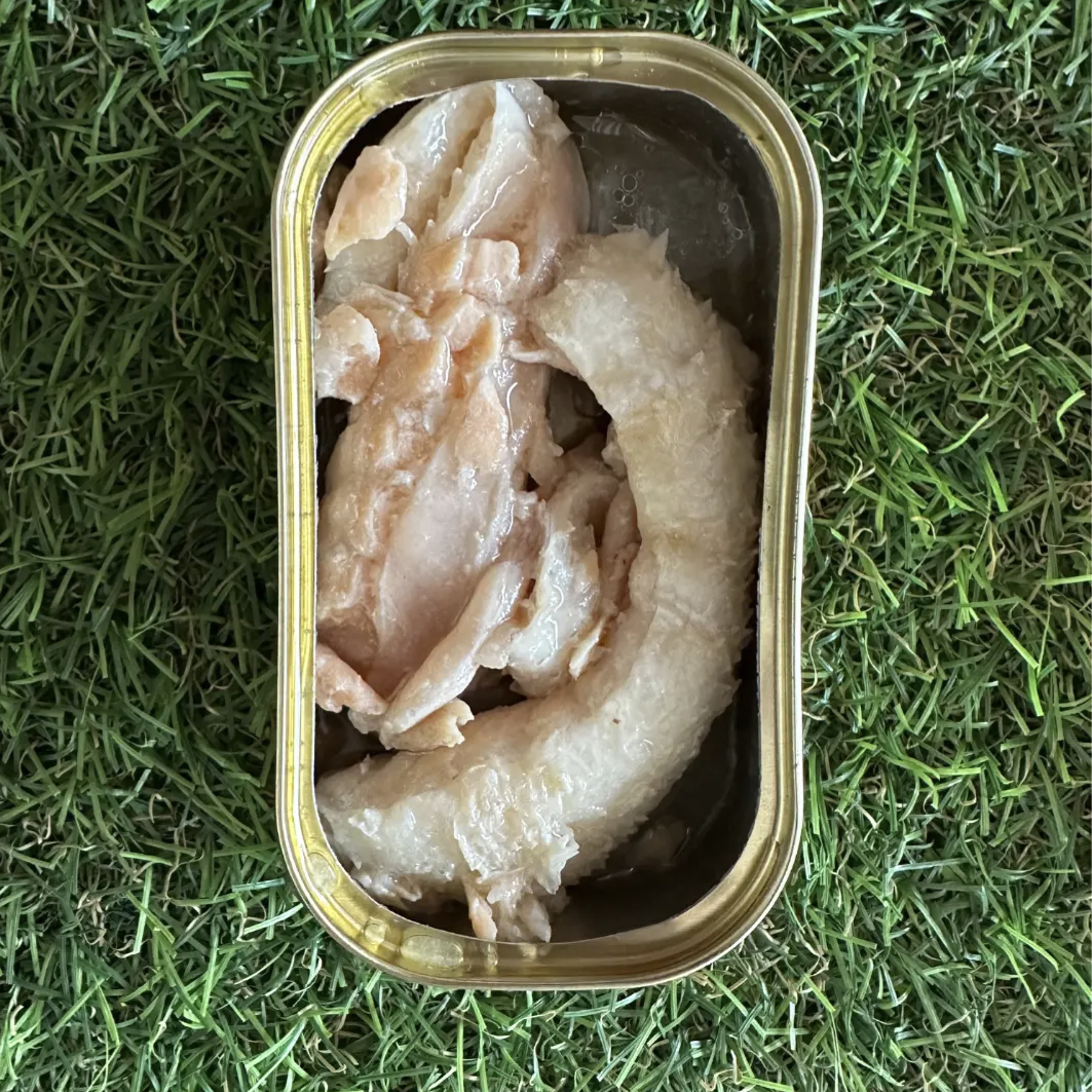 A can of Canumi Natural Salmon dog food placed on a grassy surface.