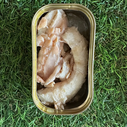 A can of Canumi Natural Salmon dog food placed on a grassy surface.