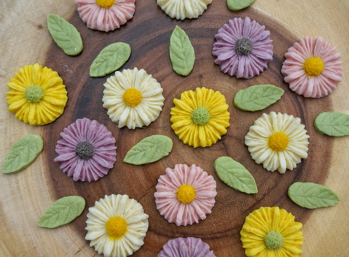Little Paws Daisy Garden