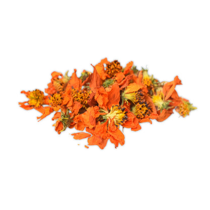 Good Dog Deli Cosmos Bright Lights | Natural Dried Flower Dog Treats