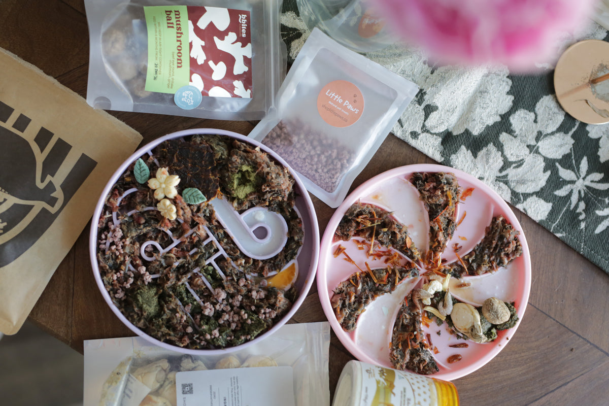 Two slow feeder bowls of pet food on a table in a home setting with a variety of packaged treats, flowers and a floral towel in the background.