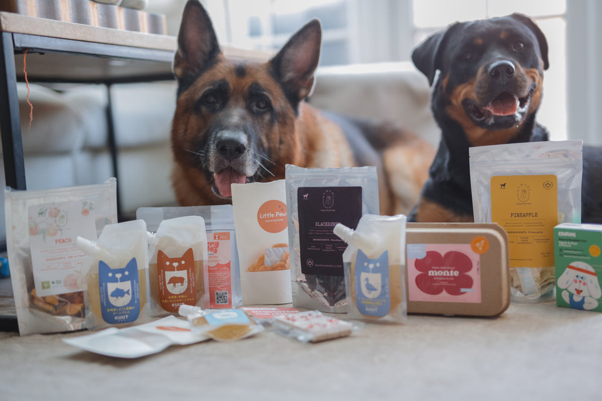 Two dogs sitting behind a collection of packaged pet treats and supplements in a home setting. The products include various packs of dog and cat treats from small businesses.