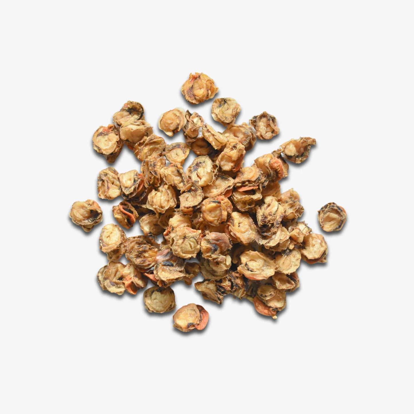 Good Dog Deli Hokkaido Scallops | Natural Dog Treats