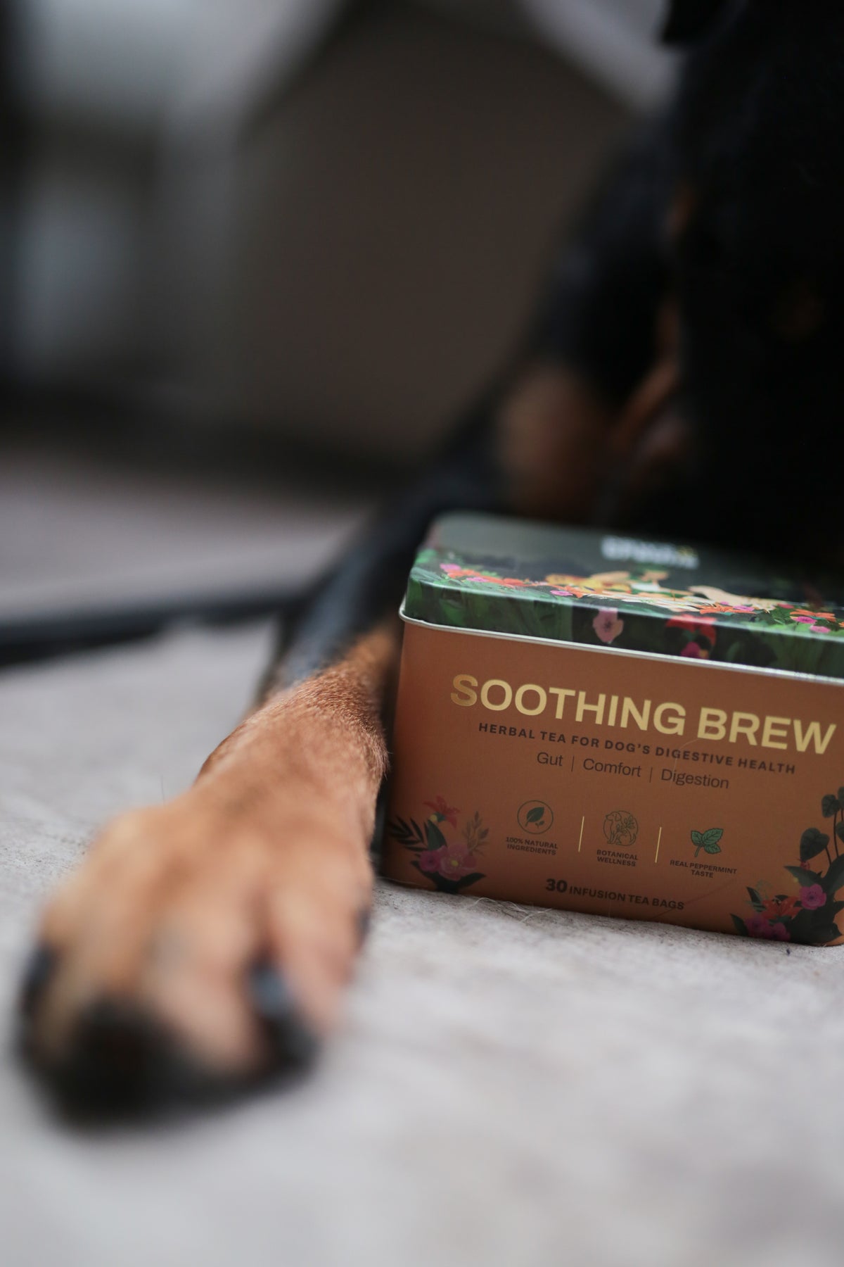 Paws For Greens Soothing Brew