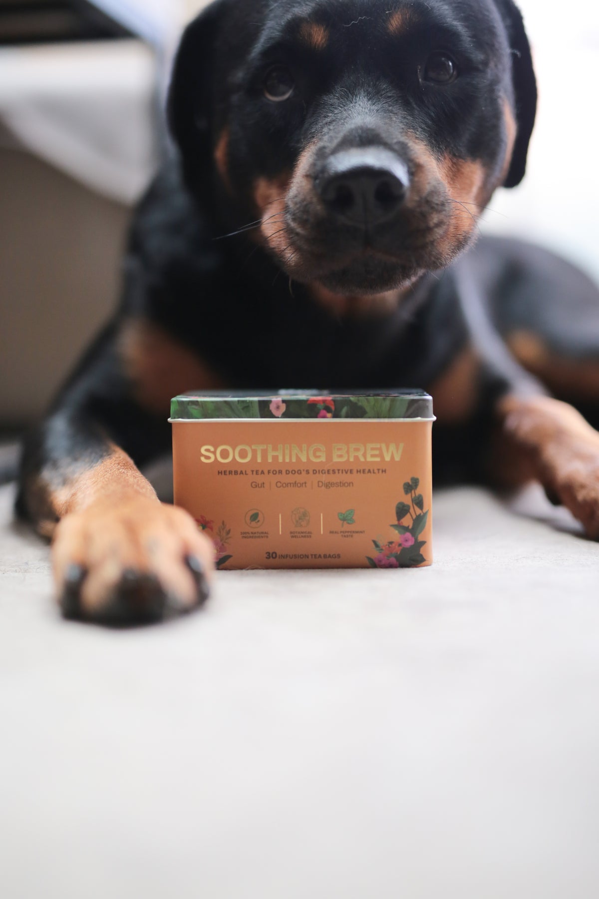 Paws For Greens Soothing Brew
