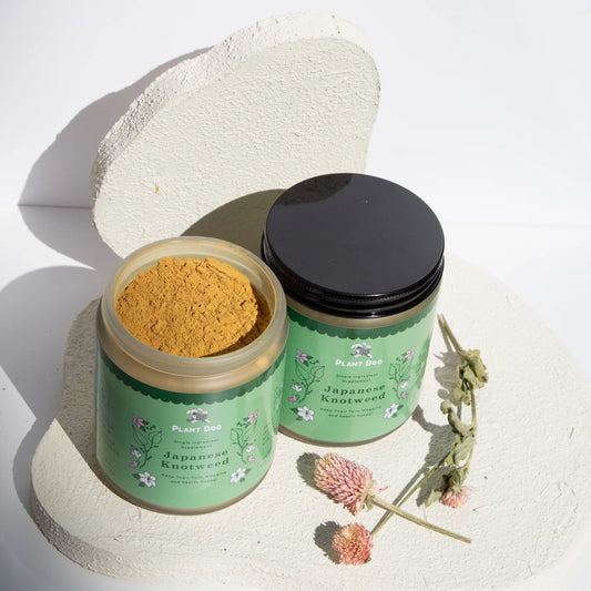 Japanese Knotweed Powder - Health Supplement for Dogs