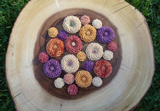 Little Paws Dahlias | Organic Goat Milk Dog Treats