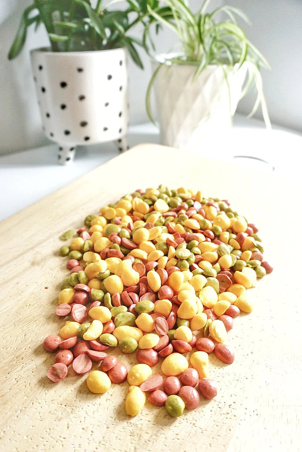 Little Paws Milky Egg Drops | Natural Goat Milk Dog Treats