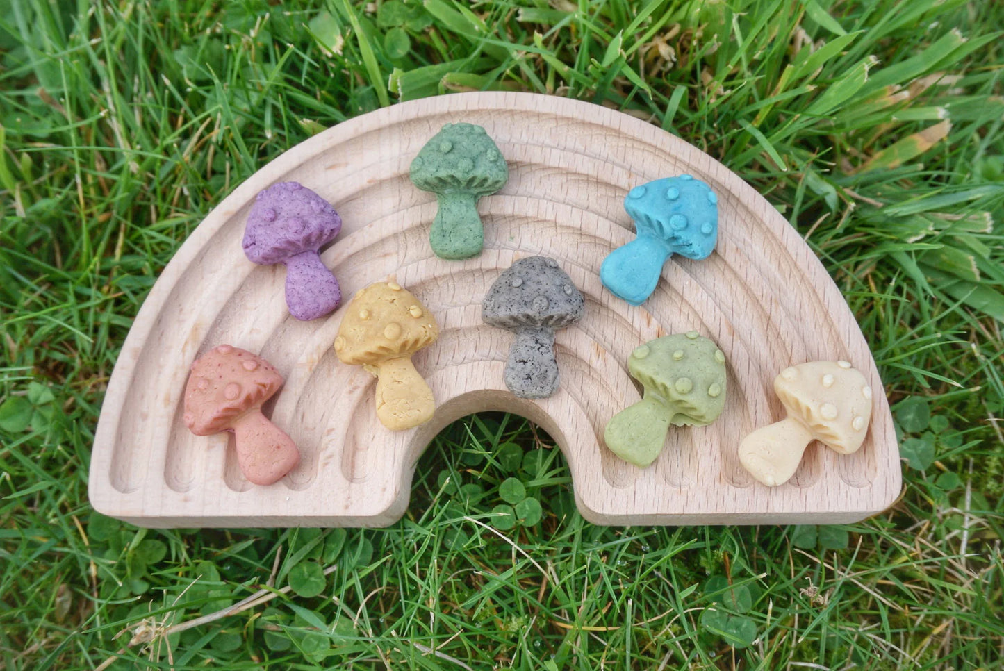 Little Paws Mushroom Candies | Natural Goat Milk Dog Treats
