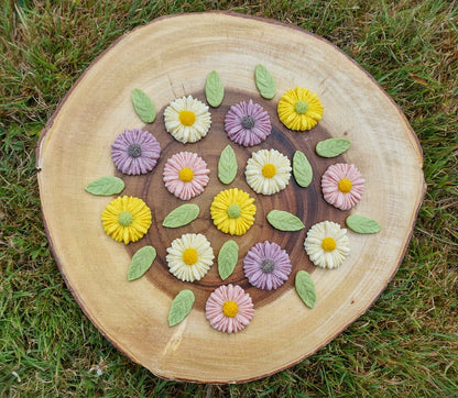 Little Paws Daisy Garden