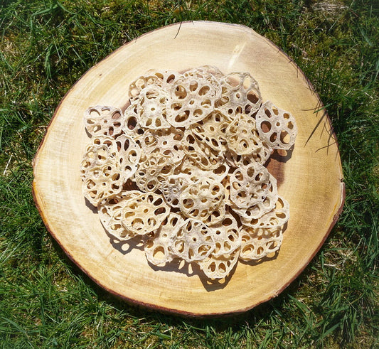 Dried Lotus Root | Natural Plant Based Dog Treeats