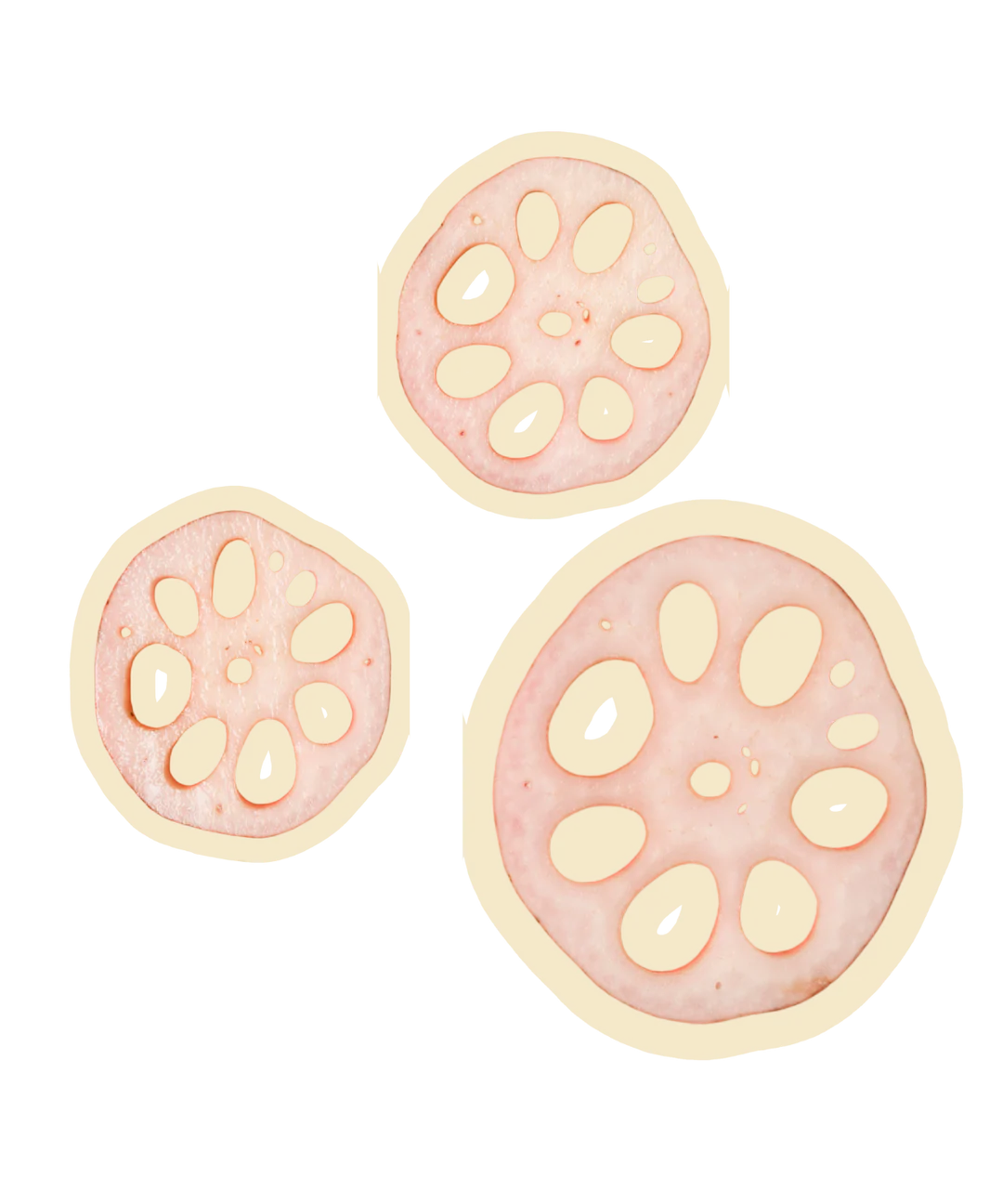 Beast Buddy Lotus Root | Natural Plant Based Dog Treats