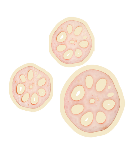 Beast Buddy Lotus Root | Natural Plant Based Dog Treats