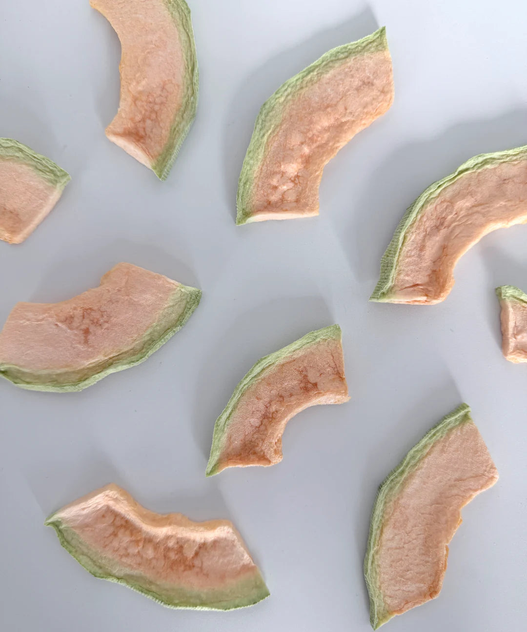 Beast Buddy Freeze Dried Melon