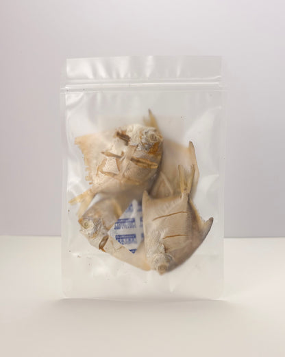 Beast Buddy Wild Baby Pomfrets | Natural Fish Treats For Dogs