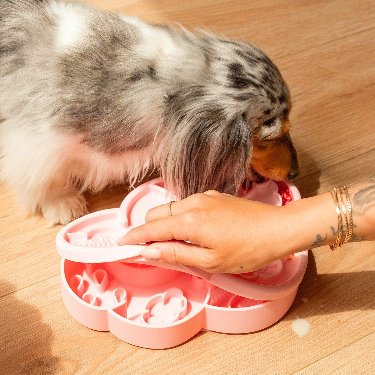 Ollie B. Good Cloud Nine Lick Mat & Lid | Enrichment Mat For Dogs & Cats | 4 Colours