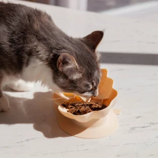 Ollie B. Good Whiskies Bowl | Enrichment Bowl For Cats | 3 Colours