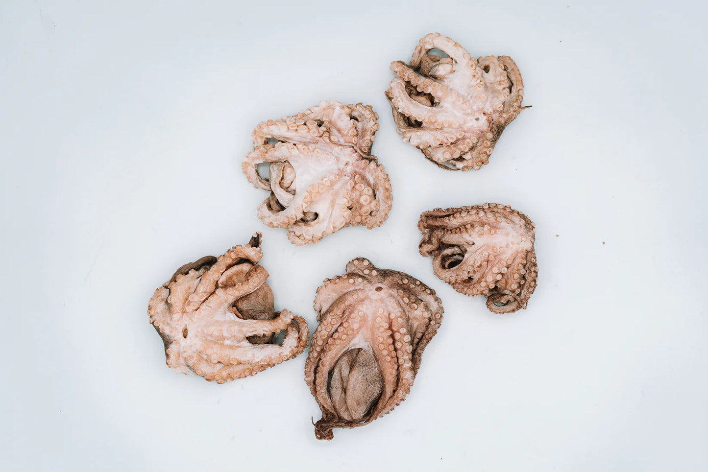 Freeze Dried Octopuffs | Natural Seafood Treats For Dogs and Cats