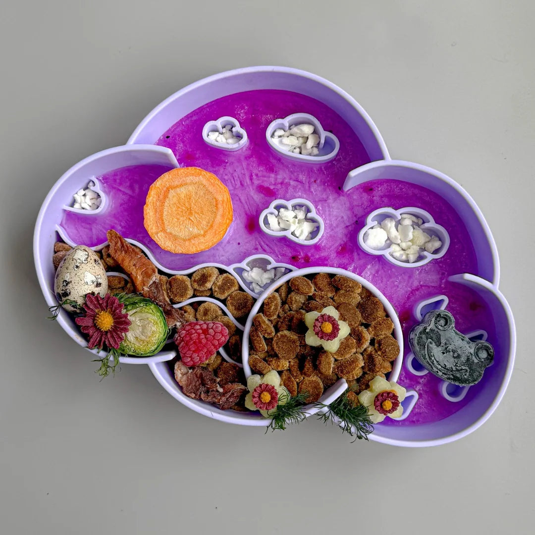 Ollie B. Good Cloud Slow Feeder Bowl | New Colours