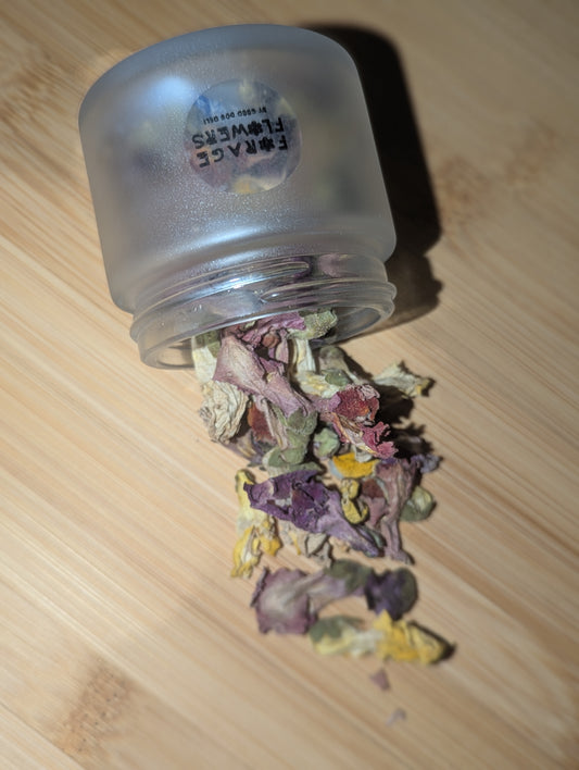 Good Dog Deli Snapdragon | Natural Dried Flower Dog Treats