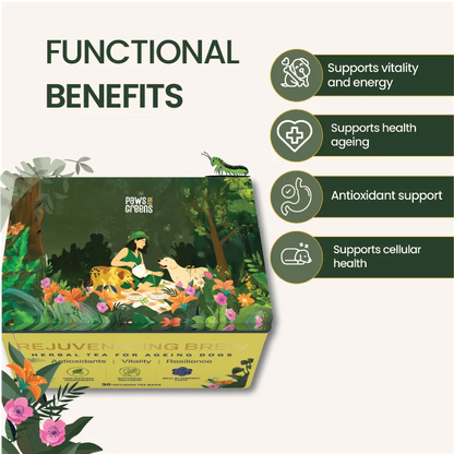 A product marketing graphic for Paws For Greens Rejuvenating Brew herbal tea for ageing dogs. The image features a box of the tea with an illustrated forest scene showing a woman and two dogs, alongside four dark green circular icons detailing functional benefits: vitality and energy, health ageing, antioxidant support, and cellular health.