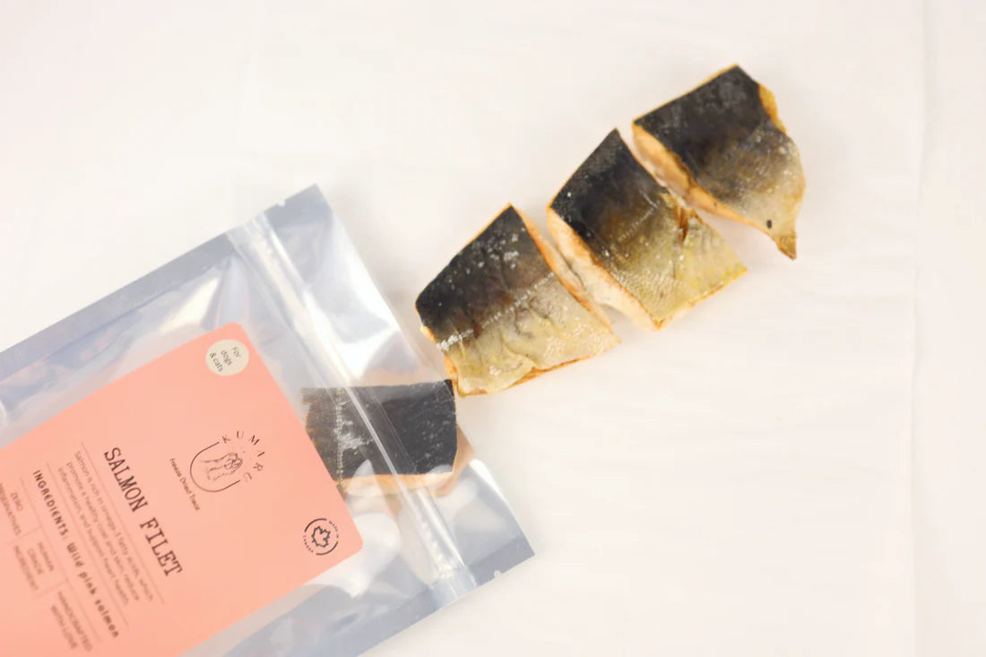 Kumaru & Co Freeze Dried Salmon Fillet