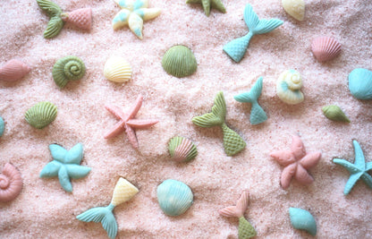 Little Paws Sandy Beach Treasures