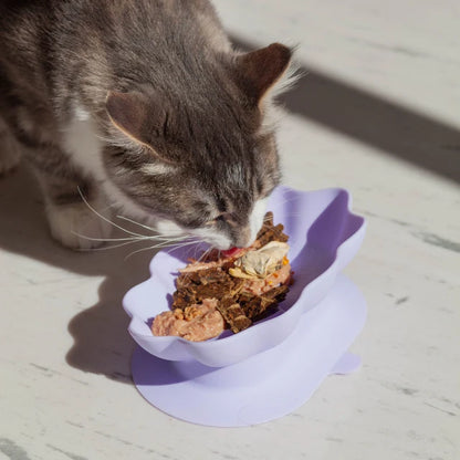 Ollie B. Good Whiskies Bowl | Enrichment Bowl For Cats | 3 Colours