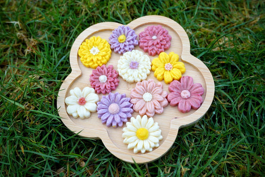 Little Paws Wild Flowers In Bloom