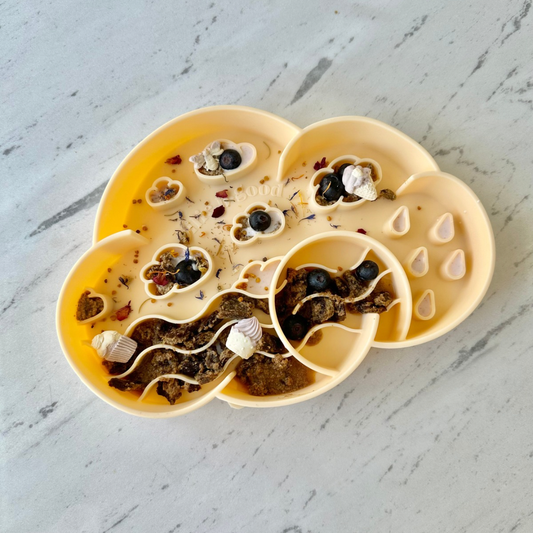 Ollie B. Good Cloud Slow Feeder Bowl | Clementine