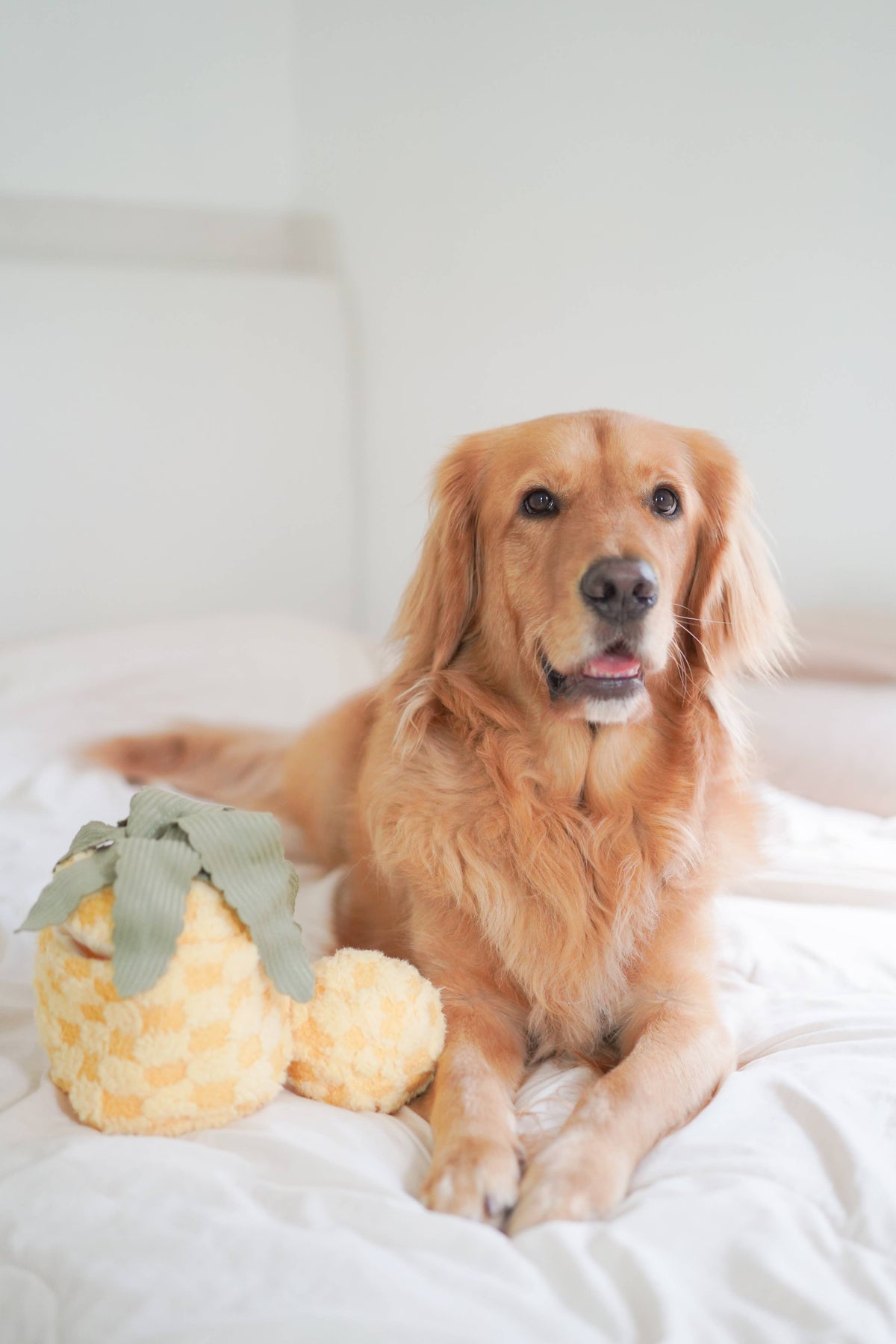 Lambwolf Pineapple Pop Enrichment Dog Toy | Squeaky + Snuffle Toy