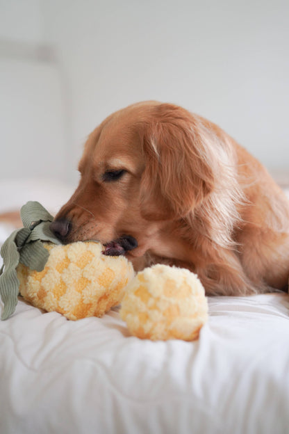 Lambwolf Pineapple Pop Enrichment Dog Toy | Squeaky + Snuffle Toy