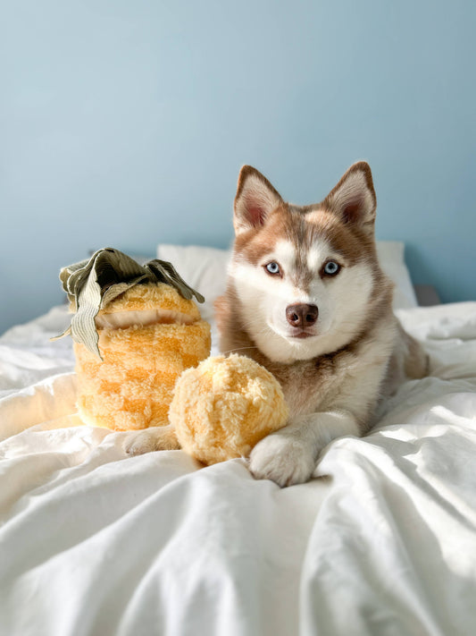 Lambwolf Pineapple Pop Enrichment Dog Toy | Squeaky + Snuffle Toy