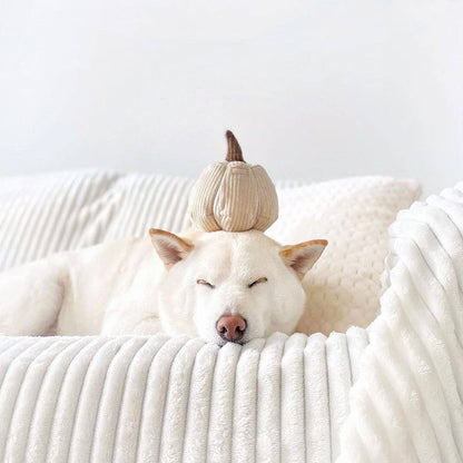 Lambwolf Boo Pumpkin Enrichment Toy
