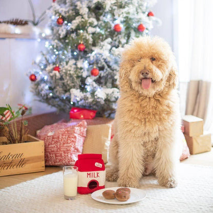 Christmas Eve Box For Dogs