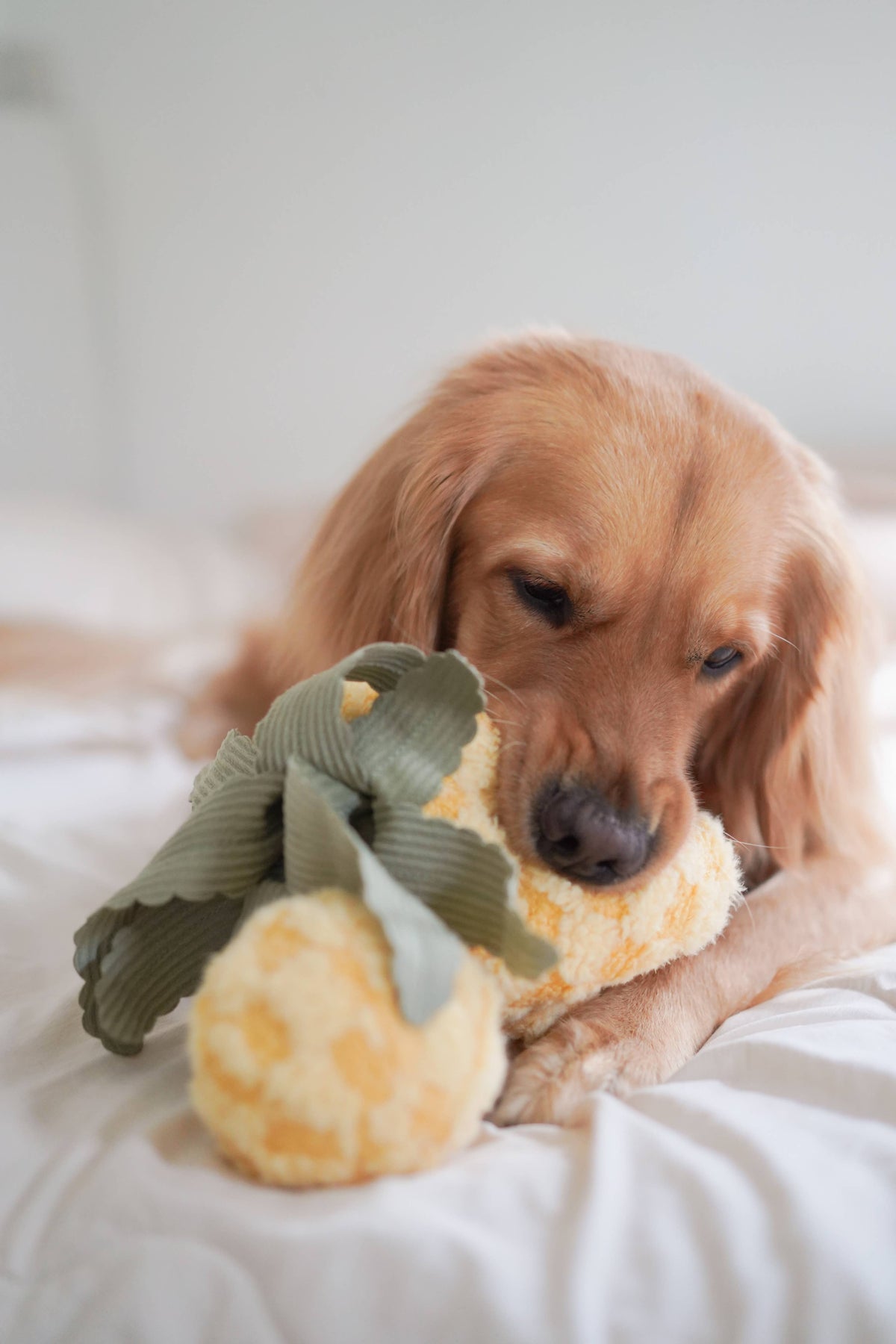 Lambwolf Pineapple Pop Enrichment Dog Toy | Squeaky + Snuffle Toy