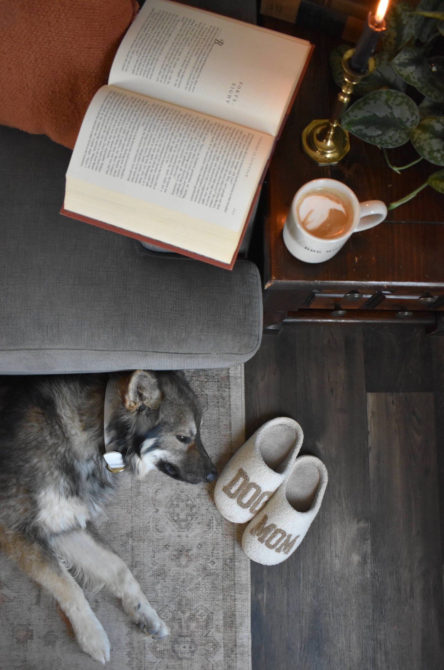 Dog Mom Slippers - TAUPE