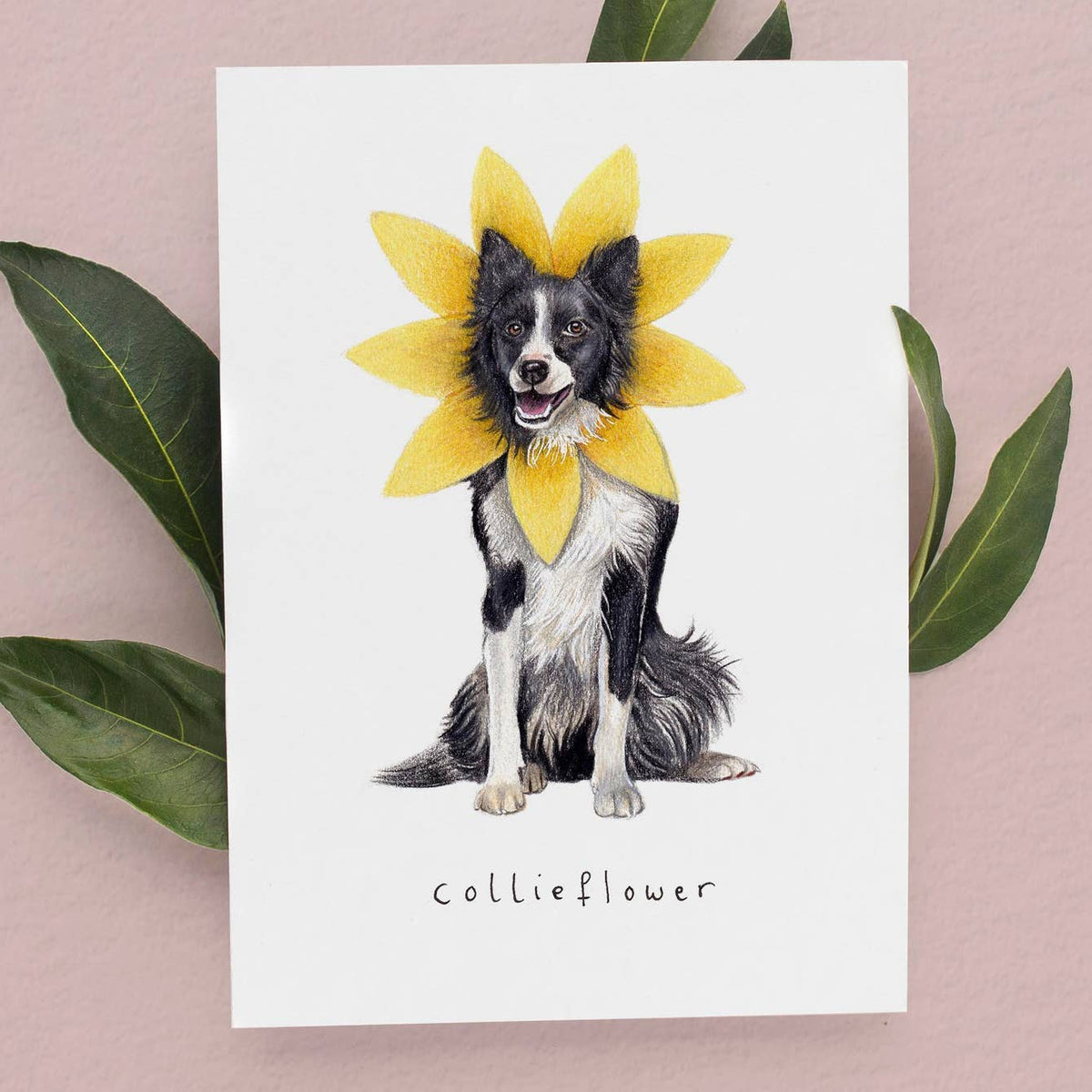 Border Collie Birthday Card By Beth Goodwin Designs