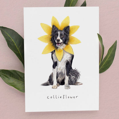 Border Collie Birthday Card By Beth Goodwin Designs