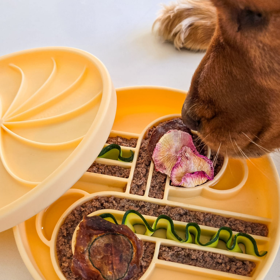 Ollie B. Good Wheelies Lick Mat & Lid | Clementine| Enrichment Mat For Pets