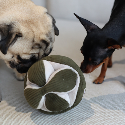 Lambwolf Monti Snuffle Ball | Enrichment Dog Toy