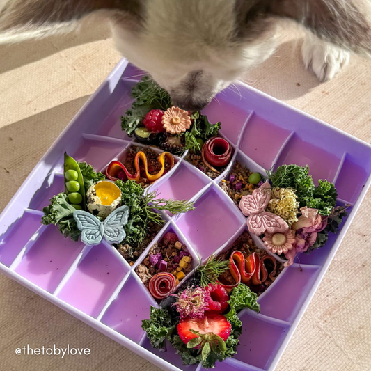 Ollie B. Good Wavies Slow Feeder Bowl | Viola | Enrichment Bowl For Pets