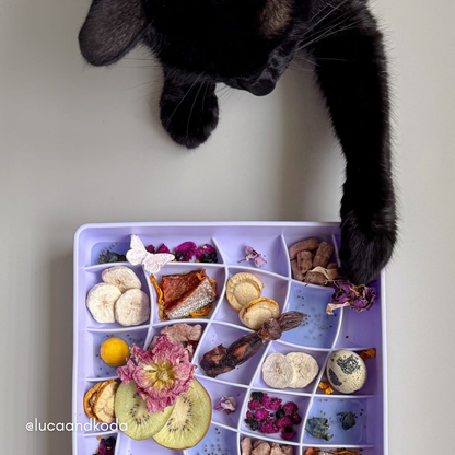 Ollie B. Good Wavies Slow Feeder Bowl | Viola | Enrichment Bowl For Pets